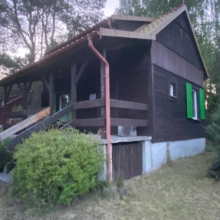 Dom Pod Sosnami Villa Rzewnie Bagian luar foto