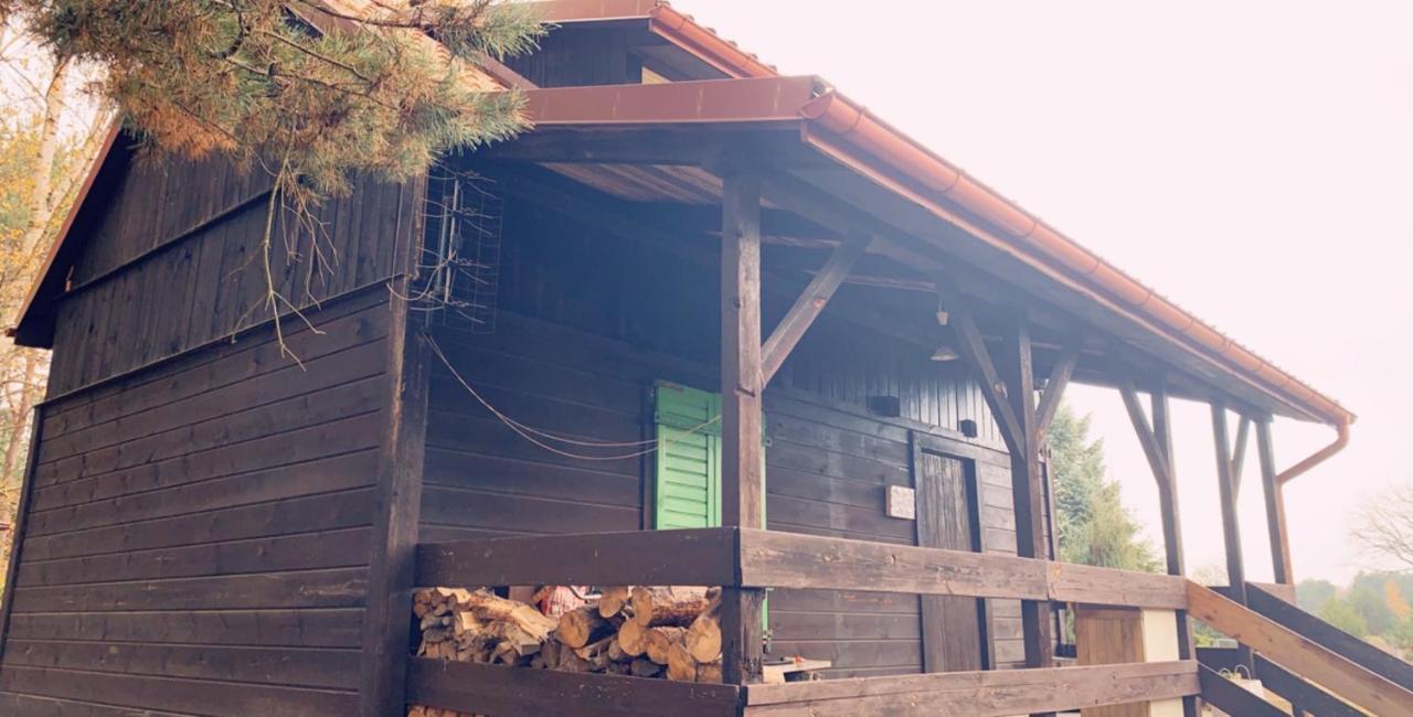 Dom Pod Sosnami Villa Rzewnie Bagian luar foto