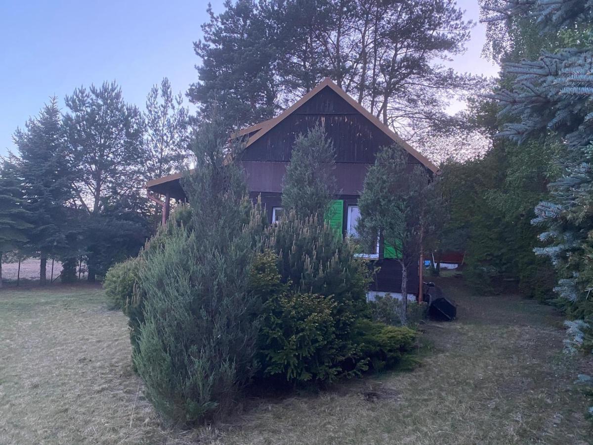 Dom Pod Sosnami Villa Rzewnie Bagian luar foto